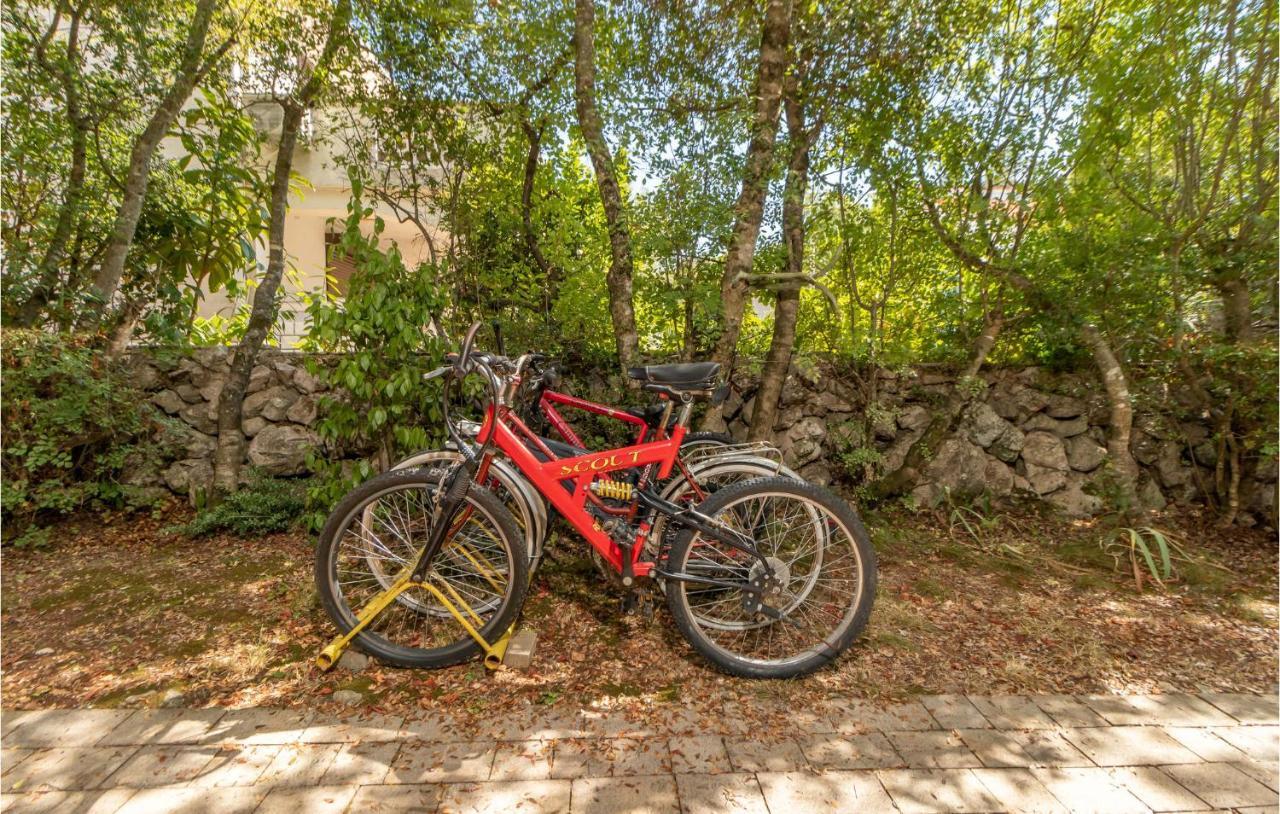 Pet Friendly Apartment In Pinezici With Wifi Exterior foto
